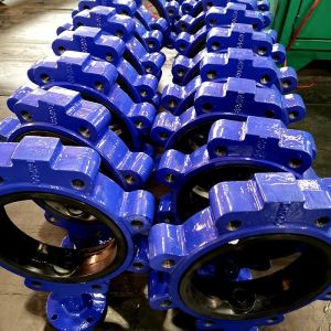 316/ 304 Cast Iron Butterfly Valve