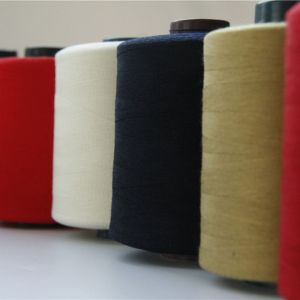 High Temperature Resistance Meta Aramid Embroidery Thread 40/2