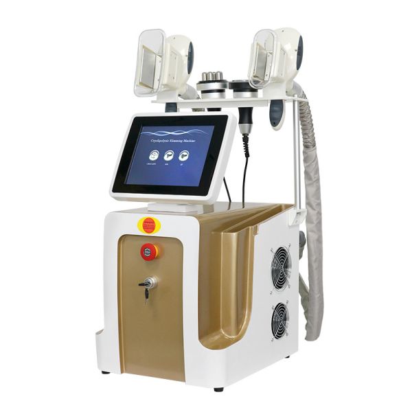 Buy Cryolipolysis Fat Freezing Machine For Weight Loss at wholesale prices