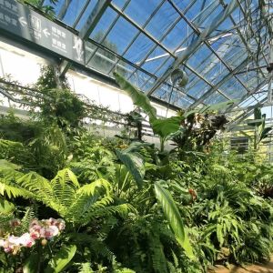 Innovative Design and Innovative Hydroponic Glass Greenhouse for Growing