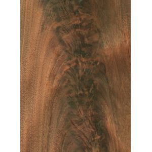 America Black Walnut Natural Wood Veneer Straight Sliced For Fancy Panel