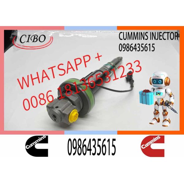 Fuel Injector Assembly F00BJ00000 2881088 0986435900 Y431K05392 0986435615 For Qsk19 Engine