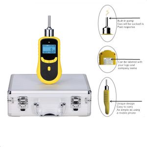 Portable Pumping type Single Gas Detector PH3 Single Gas Detector for Fumigation