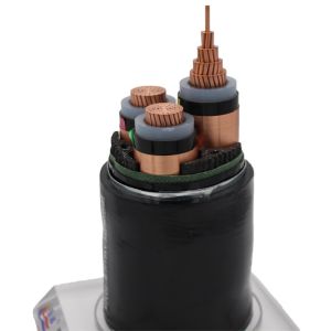 Xlpe Insulation Material 1core 2core 3core Electric Power Cable with CCC