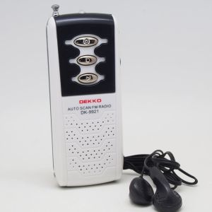 Private Model FM Radio Speaker Wireless 100H Antenna Mini Portable Speaker Radio