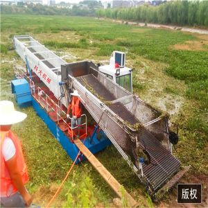 2021 hot sell grain machine grain harvester agriculture machine harvester