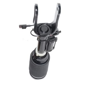 Air Spring Mercedes R Class Suspension 2513205613 W251