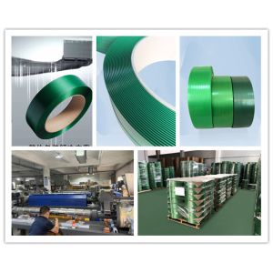 PET Strap Production Line for Environmentally Friendly and Recyclable Packing