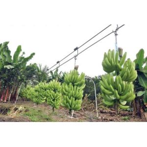 Steel Farm Banana Cableway Roller Trolley With Bearings