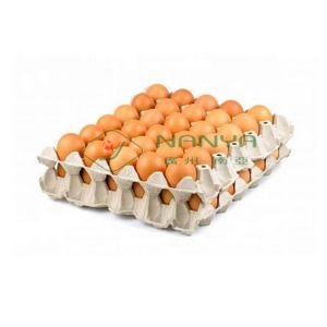 Waste Paper Full Auto Rotating Type Egg Tray Forming Machinery / 5000pcs/ h