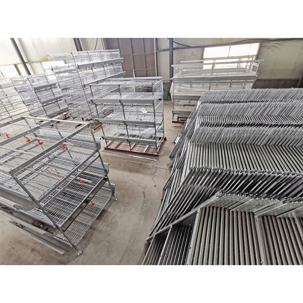 Husbandry Livestock 3 Tier Chicken Cage , HDG 125kgs 208 Broiler Farm Equipment