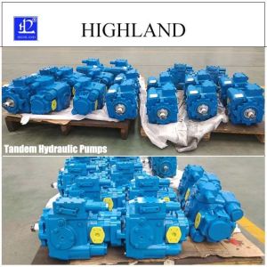 Tandem Piston Pump for High-Performance Hydraulic Components
