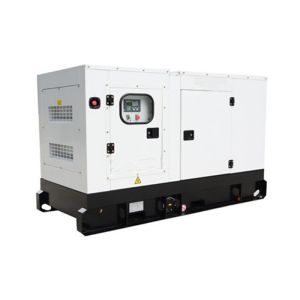 20kw 1800rpm Small Yangdong Genset Diesel Generator with Automatic Alarm System
