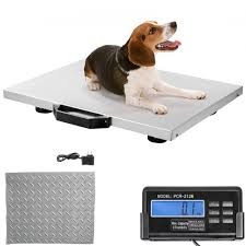 Quality Veterinary Scale Stainless Steel With Indicator Horse Goat Pet Hog Animal Weigher for sale