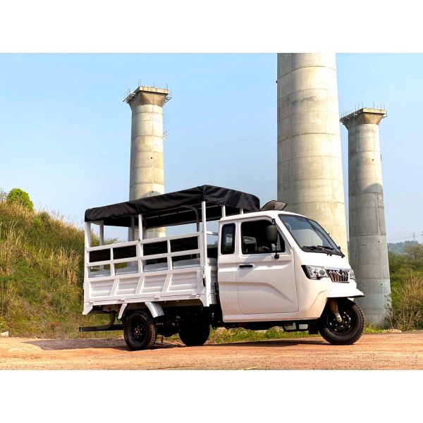 800W Semi-Cabin Motorized Cargo Tricycle with Enclosed Cabin and Plastic Cargo Cover