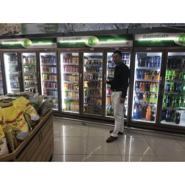 Glass Doors Display Refrigerator Commercial Refrigerator Beverage Cooler