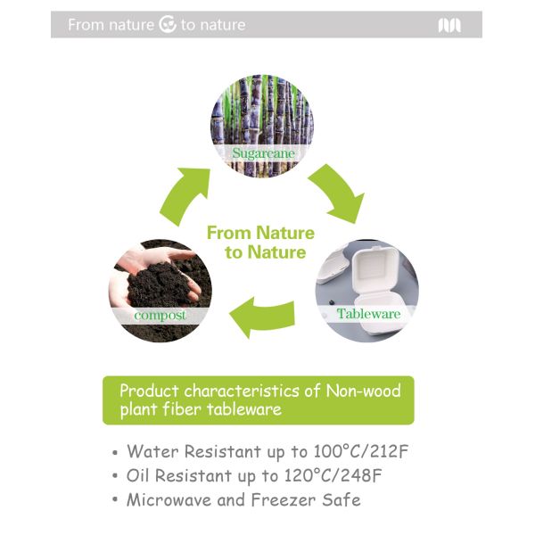 Biodegradable Disposable Sugarcane Bagasse Takeaway Food Container Packaging Clamshell Lunch Box Paperboard Accept B002 Hbmg