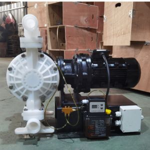 DBY Electric Diaphragm Pump With Reduction Box Versatile For Various Application