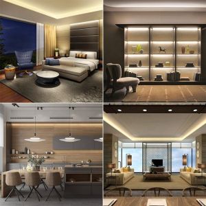 12V24V CCT Flexible Dual Color COB SMD2835 LED Strip Light 608leds 8mm 10mm