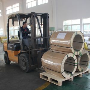 ASTM Standard EPQ Wire Bending Ss Wire Thin Kitchenware Use Unlimited Length