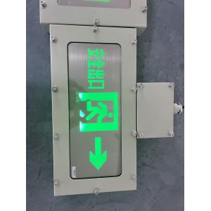 Wall Mounted 3W 120 180 Mins Emergency Escape Light Custom Colors LED Indicators