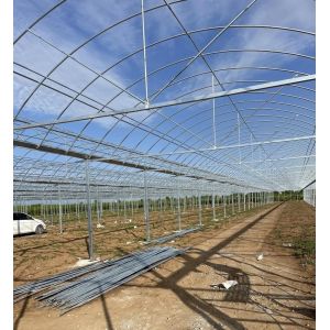 Customized Multi-Span Greenhouse Yield Solution for Hydroponic Vegetable