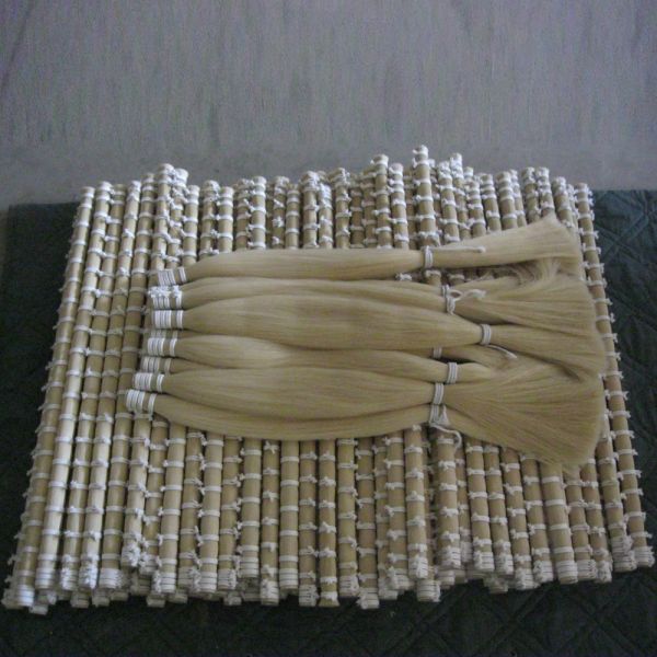 32 inch white double drawn horse tail hair for bow hair manufacture