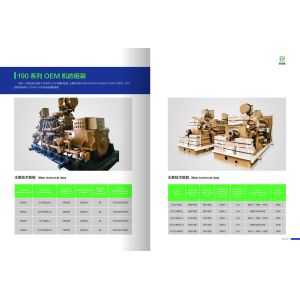 1000kw Bl12V190zld Diesel Generating Sets Jichai Customization for Your