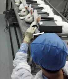 Portable Handheld Wifi Digital Ophthalmoscope For Eye Fundus