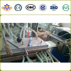 PVC Wall Panel Extrusion Line WPC Wall Panel Making Machine