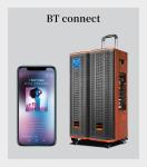 Wooden 80W Portable Trolley Speaker Customized 12V / 7Ah Battery With 2 Mic