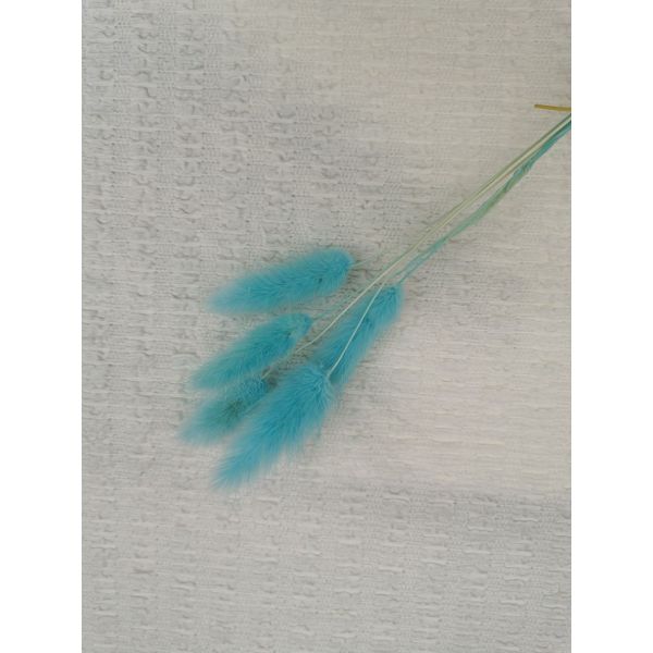 Buy Bubble Lace Knitted Ivory Crinkle Stretch Fabric at wholesale prices