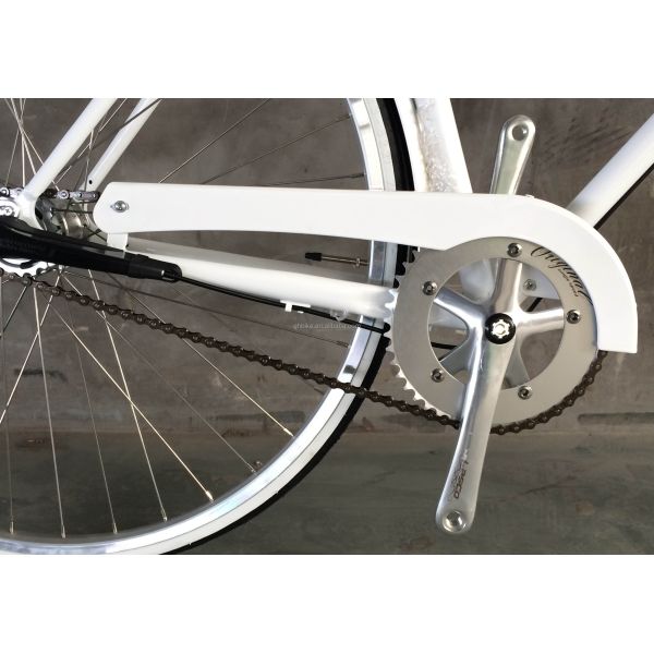 Vintage CR-MO Steel 4130 Lady Women Girl Inner 3 Speeds City Bike for Europe Market