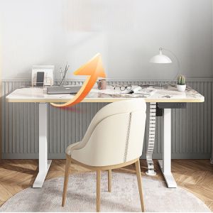 Multi-Function Adjustable Table 's Ergonomic Office Desk with 2 Stage Lifting