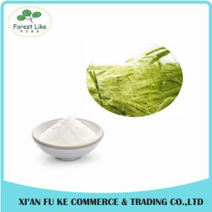 Hordeum Vulgare / Barley / Hordeum Extract Powder