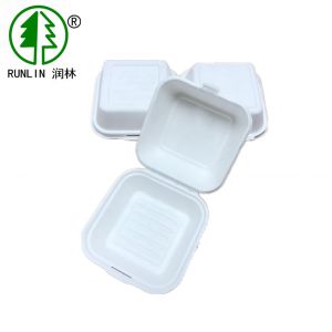 Biodegradable china factory made disposable take away hamburge box