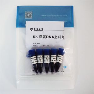 Quality 6× Gel Loading Dye Three Color DNA Electrophoresis Buffer EDTA 1mlx5 for sale