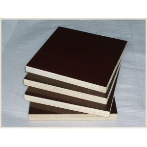 Poplar And Eucalyptus Core Film Faced Plywood For Office Building Construction