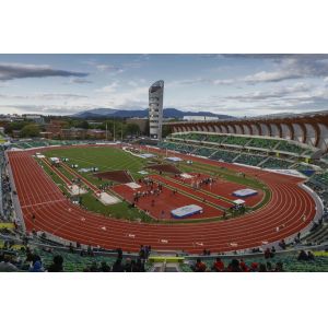 Finish Coat Sandwich Running Track Cushioned Athletic Sports Stadium