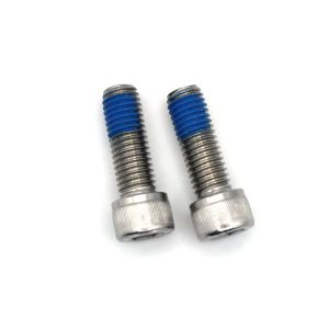 ISO9001 2015 Certified Metric Stainless Steel Nylon Coated Hex Socket Cap Screw