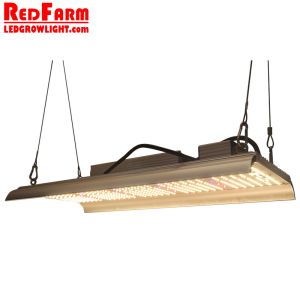 Greenhouse UV IR Full Spectrum 240w Led Grow Lights