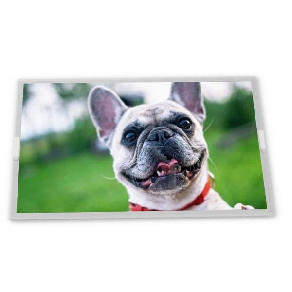 AT056TN53 V.1 WLED TFT LCD 5.6-Inch Display Module 640*480 Resolution ODM