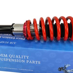 13 Kg Steel Main Car Shock Absorber For Mercedes W220 S Class Rear
