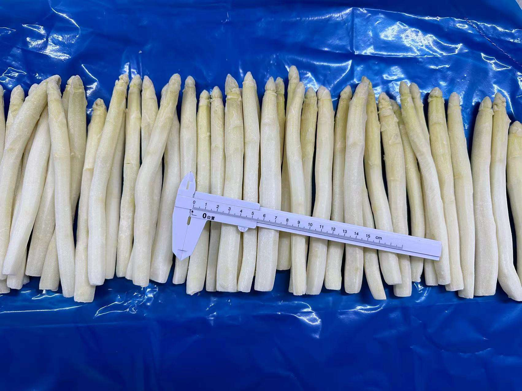 Wholesale IQF Vegetable IQF Frozen White Asparagus Spear From China