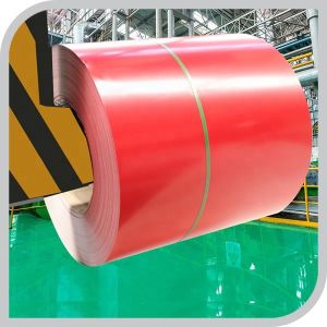 Dongmeng RAL9010 Prepainted Galvanized Steel Sheet Coil Z61-Z80 Coating