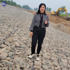 Quality Galvanized Rock Gabion Box Retaining Wall for Sale for sale