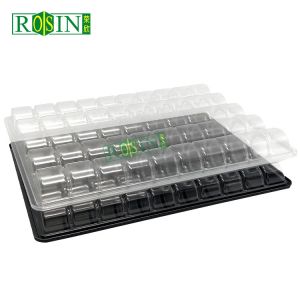 Customized Transparent Macaron Box Eco Friendly Hinged Clamshell Lightweight