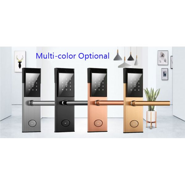 Ss Apartment Smart Door Lock PMS Smart House Lock TT Lock APP Control