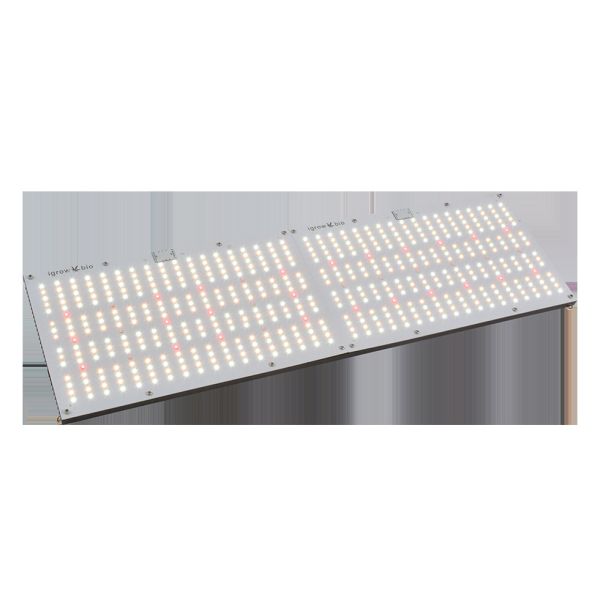 Separate Hanger 240W 3500K Indoor Horticulture Lighting