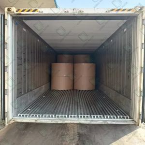 Thin Fine Printing Paper Bible Paper/ Dictionary Paper In Sheet